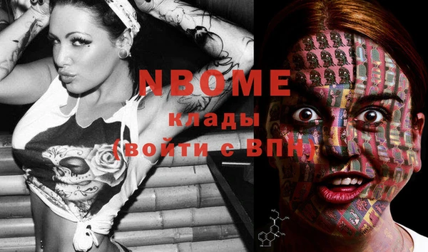 прущие грибы Абдулино
