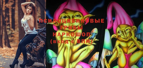 ПСИЛОЦИБИНОВЫЕ ГРИБЫ Алзамай
