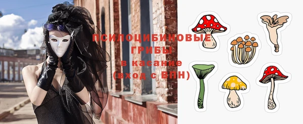 прущие крисы Абаза