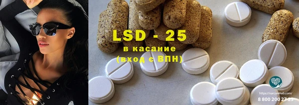 прущие грибы Абдулино