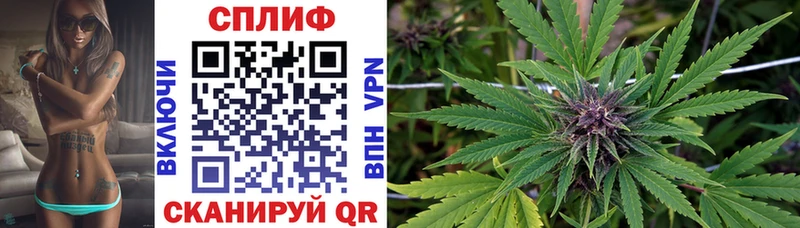 купить  сайты  Каменка  Бошки Шишки SATIVA & INDICA 